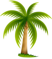 palm tree